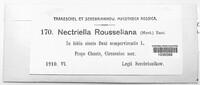 Nectriella rousseliana image